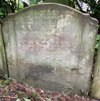 SOWERBY, George Brettingham II (1812 – 1884)