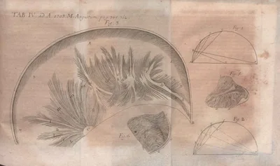 PACCHIONI, Antonio (1665 – 1726)