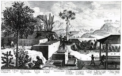 DU TERTRE, Jean Baptiste (1610 – 1687)